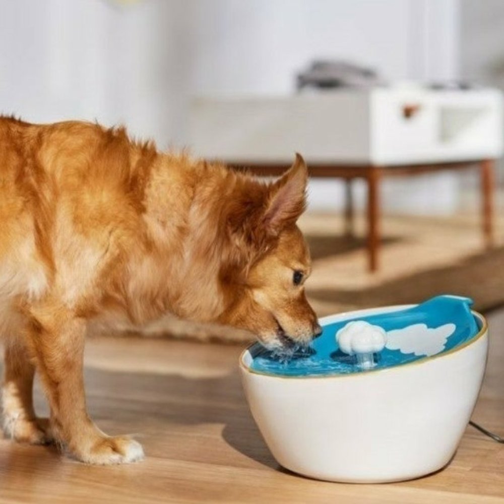 NEW Frisco Ceramic Clouds Dog & Cat Fountain Water Bowl, White, 100-oz, $80